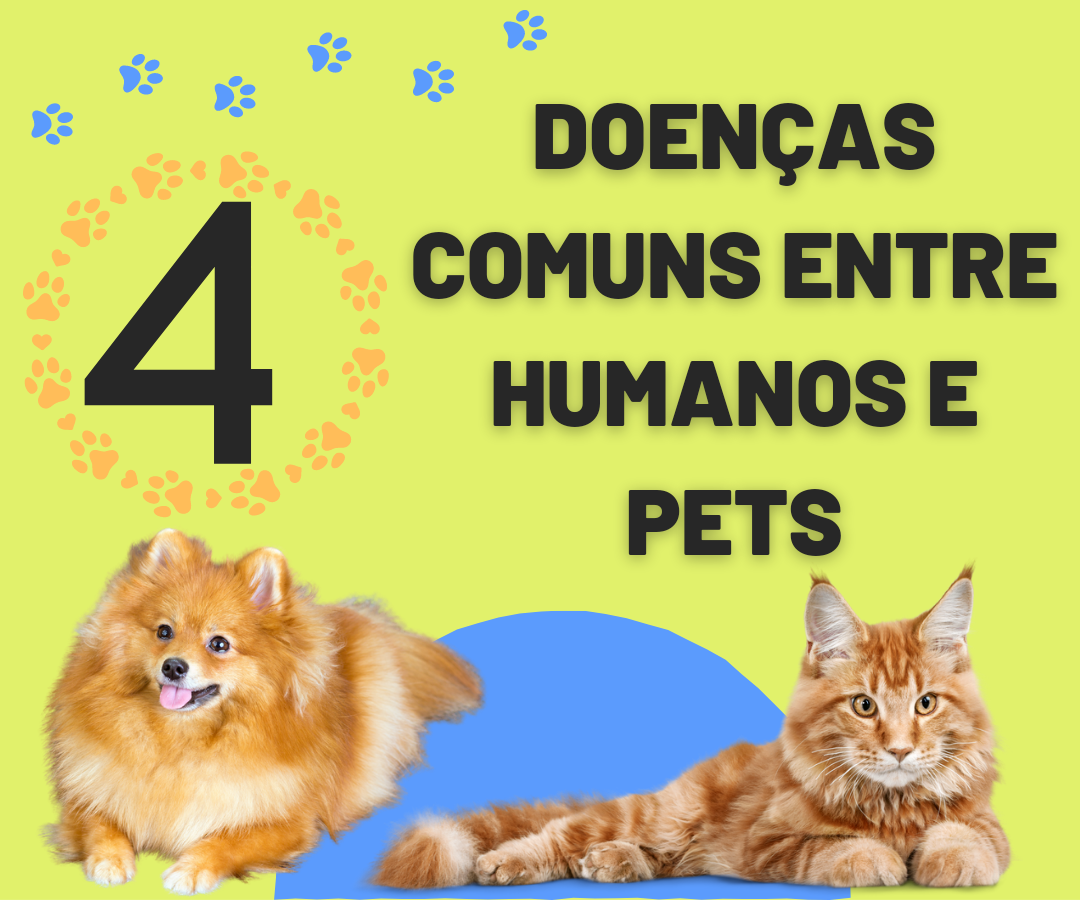4 Doenças Comuns entre Humanos e Pets